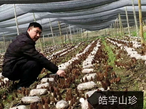 &#20061;&#28216;&#23089;&#20048;