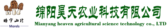 &#20061;&#28216;&#23089;&#20048;