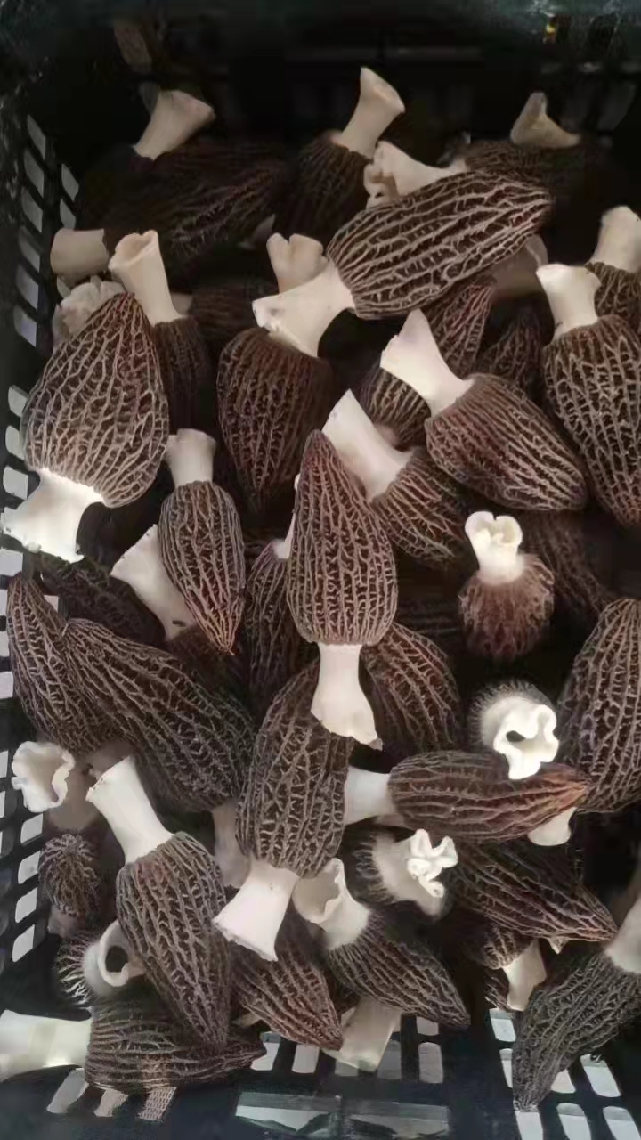 &#20061;&#28216;&#23089;&#20048;