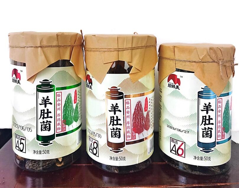 &#20061;&#28216;&#23089;&#20048;