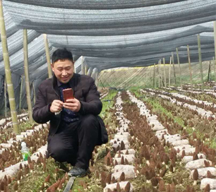 &#20061;&#28216;&#23089;&#20048;