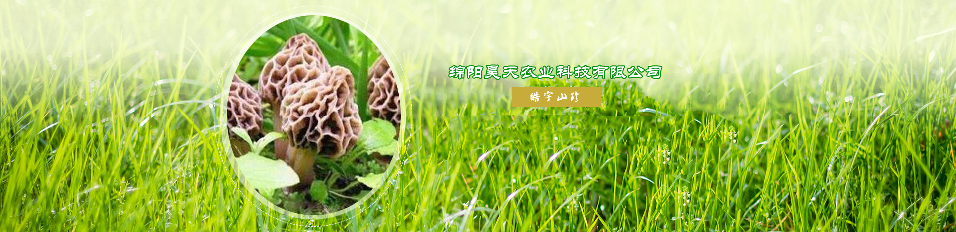 &#20061;&#28216;&#23089;&#20048;