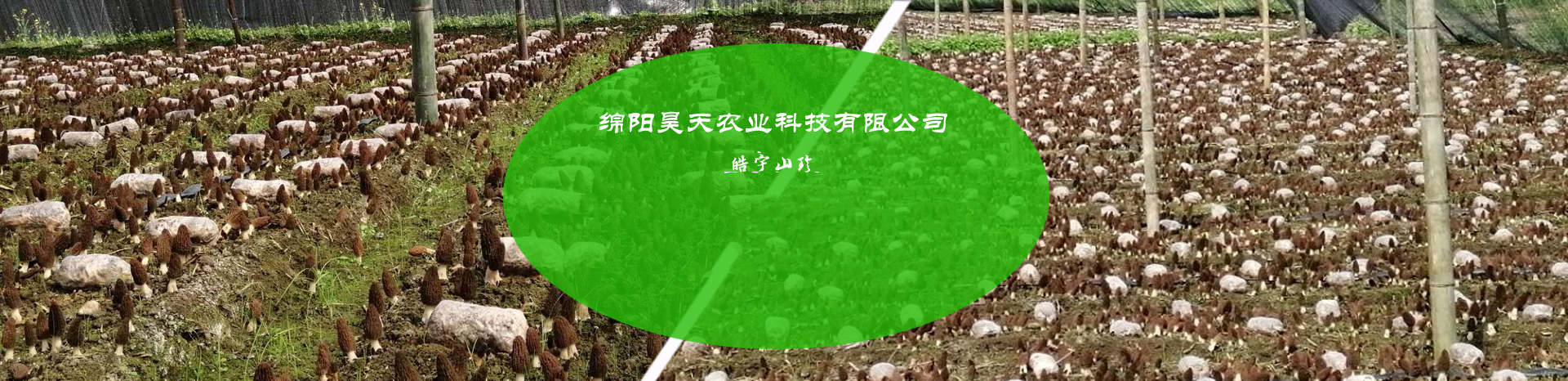 &#20061;&#28216;&#23089;&#20048;