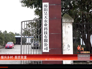 &#20061;&#28216;&#23089;&#20048;