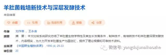点击(jī)打开原图