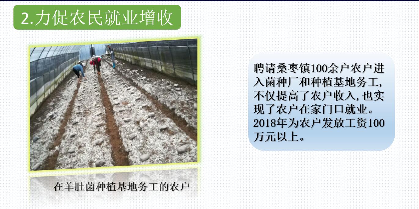 &#20061;&#28216;&#23089;&#20048;