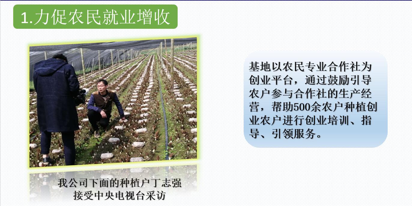 &#20061;&#28216;&#23089;&#20048;