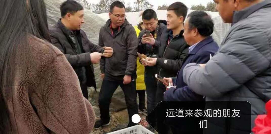 &#20061;&#28216;&#23089;&#20048;