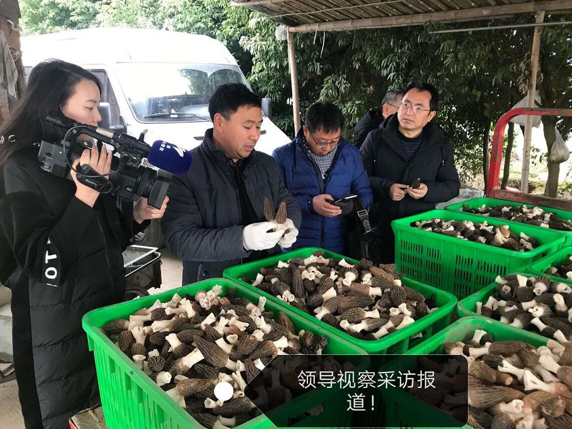 &#20061;&#28216;&#23089;&#20048;