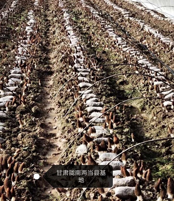 &#20061;&#28216;&#23089;&#20048;