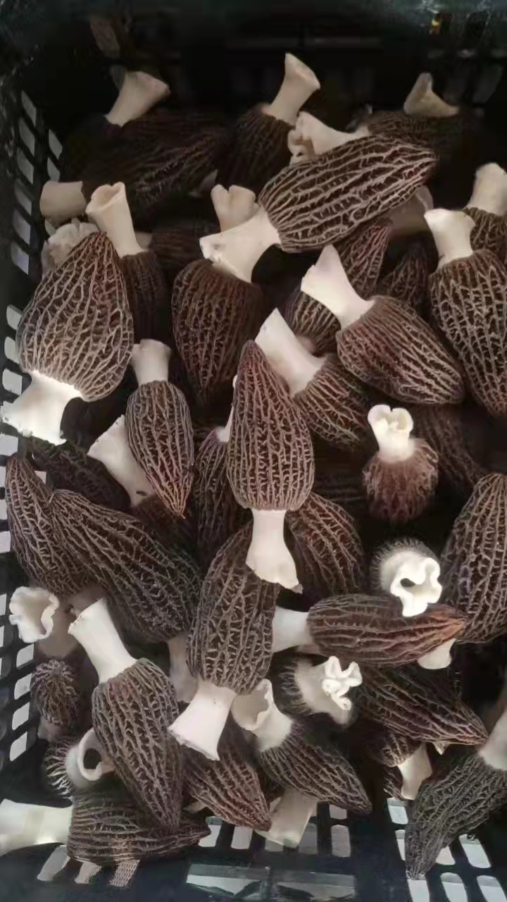 &#20061;&#28216;&#23089;&#20048;