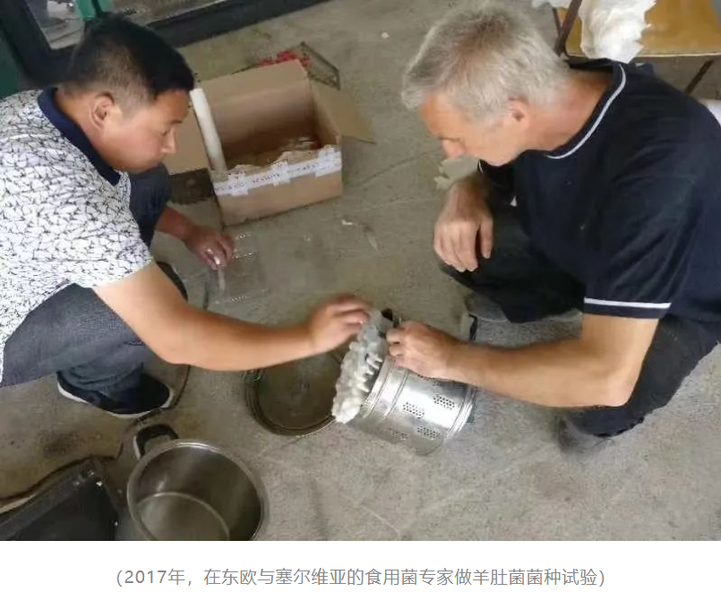 &#20061;&#28216;&#23089;&#20048;
