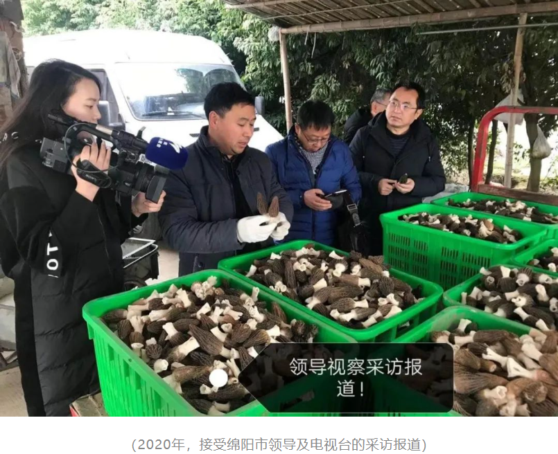 &#20061;&#28216;&#23089;&#20048;