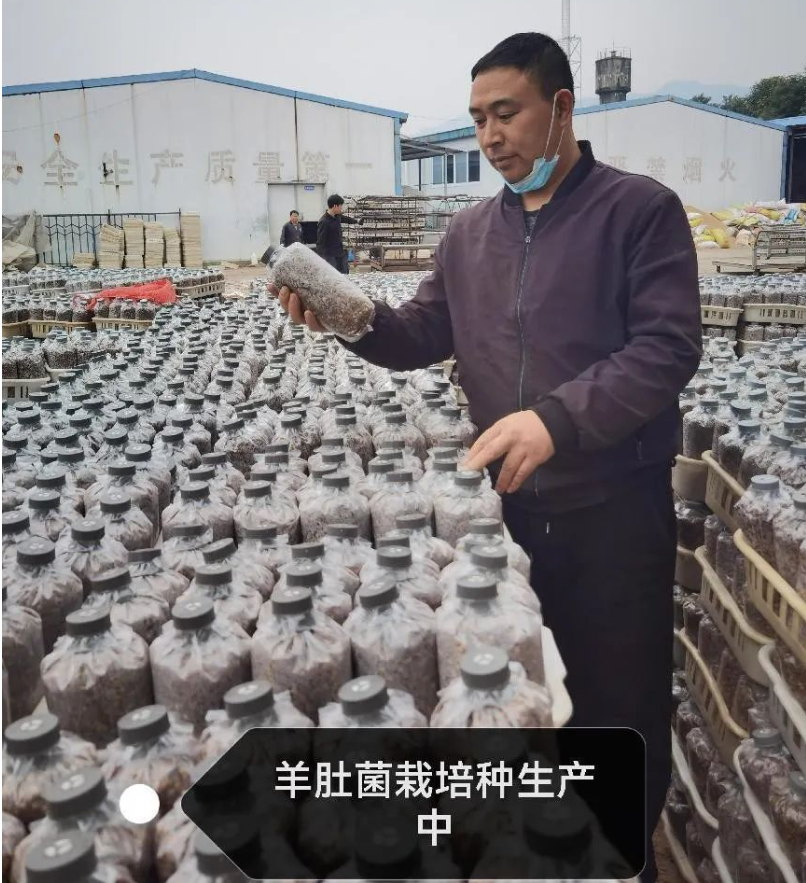 &#20061;&#28216;&#23089;&#20048;
