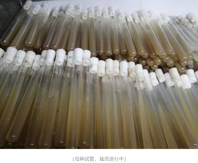 &#20061;&#28216;&#23089;&#20048;