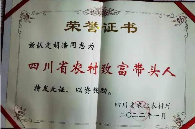 &#20061;&#28216;&#23089;&#20048;